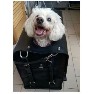 Bag for dog - photo 5